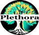 Plethora 8 Store Chile